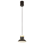 Подвесной светильник Celevis Black варинант исполнения - 2 | Loft Concept в Ростове-на-Дону