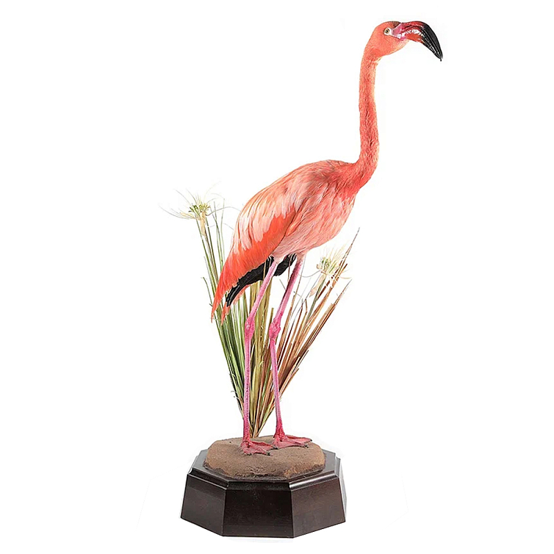    Pink Flamingo    -- | Loft Concept 