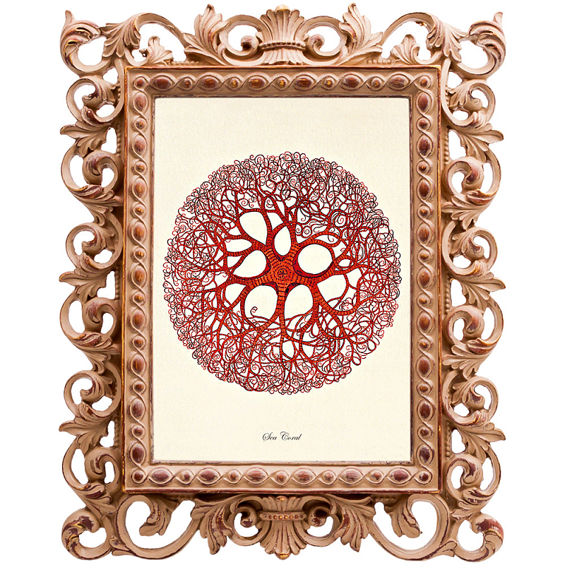  Red Coral Poster 6    -- | Loft Concept 
