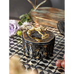 Шкатулка черного цвета с крышкой с фигуркой льва Eden Garden варинант исполнения - 6 | Loft Concept в Ростове-на-Дону