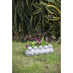 Кашпо Canaries варинант исполнения - 6 | Loft Concept в Ростове-на-Дону