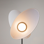 Напольный светильник Evolution 3000К 12Вт варинант исполнения - 5 | Loft Concept в Ростове-на-Дону