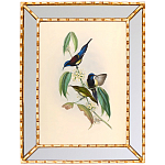 Постер с изображением птиц и цветов в зеркальной раме Blooming Birds Poster варинант исполнения - 5 | Loft Concept в Ростове-на-Дону