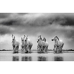 Книга Beusker. Look into my Eyes варинант исполнения - 4 | Loft Concept в Ростове-на-Дону