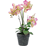 Декоративный искусственное растение Pink orchid варинант исполнения - 5 | Loft Concept в Ростове-на-Дону
