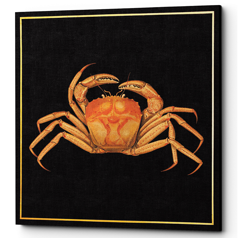  Running Crab Poster    -- | Loft Concept 