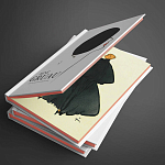 Подарочная Книга Rene gruau fashion illustration варинант исполнения - 16 | Loft Concept в Ростове-на-Дону