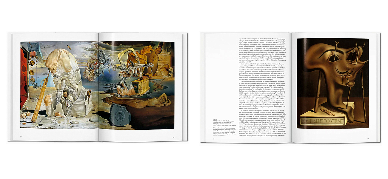 Книга Dali 27 x 21 cm Книга Dali 27 x 21 cm - Loft-Concept в Ростове-на-Дону