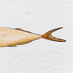 Плитка с узором Рыба Русалка варинант исполнения - 6 | Loft Concept в Ростове-на-Дону