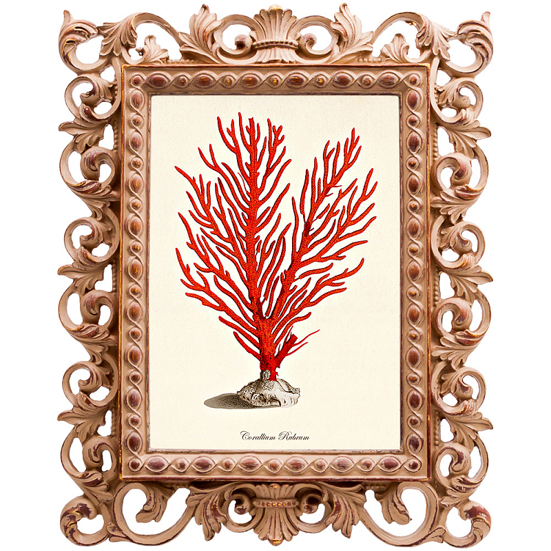  Red Coral Poster 1    -- | Loft Concept 