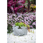 Кашпо A collection of baby rabbits варинант исполнения - 9 | Loft Concept в Ростове-на-Дону