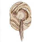 Овальный Современный Гобелен Абстракция в бежевых тонах Shallow варинант исполнения - 7 | Loft Concept в Ростове-на-Дону