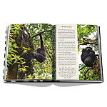 Подарочнный коллекционный фото альбом AFRICAN ADVENTURES NEW 2023 ASSOULINE HC UNBELIEVABLE ILLUSTRATIONS Safari варинант исполнения - 8 | Loft Concept в Ростове-на-Дону