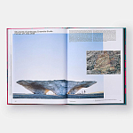 Radical Architecture of the Future варинант исполнения - 4 | Loft Concept в Ростове-на-Дону