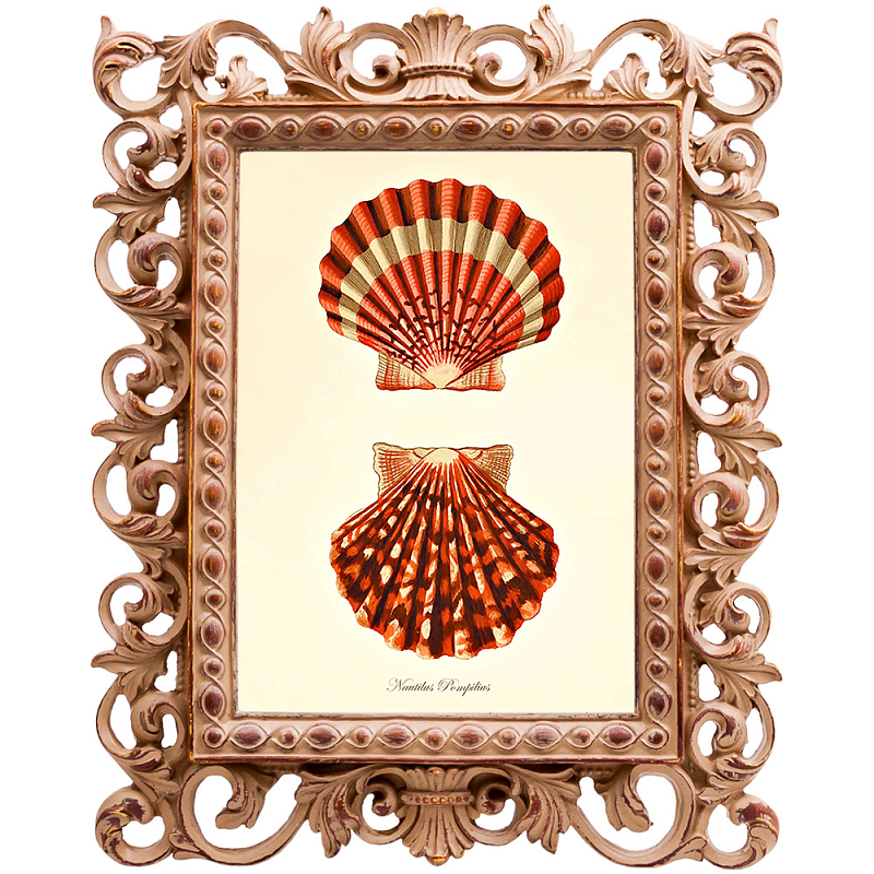 Постер Red Scallop Poster Бежевый Красный в Ростове-на-Дону | Loft Concept 