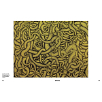 Редкое подарочное издание Yayoi Kusama: 1945 to Now варинант исполнения - 7 | Loft Concept в Ростове-на-Дону