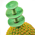 Статуэтка тропический фрукт Tropical Fruit Amazonica Green Yellow варинант исполнения - 1 | Loft Concept в Ростове-на-Дону