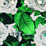 Штора Seletti Roses варинант исполнения - 1 | Loft Concept в Ростове-на-Дону