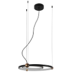 Люстра подвесная светодиодная черный металл Ring Horizontal варинант исполнения - 2 | Loft Concept в Ростове-на-Дону