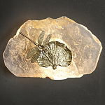 Бра Декоративный лист с стрекозой Glacial Fragment варинант исполнения - 2 | Loft Concept в Ростове-на-Дону