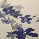 Обои ручная роспись Cherry Tree Original colourway on Stone Ochre dyed silk варинант исполнения - 3 | Loft Concept в Ростове-на-Дону