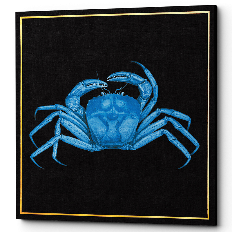  Blue Crab Poster     -- | Loft Concept 