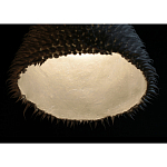 Светильник Acus варинант исполнения - 3 | Loft Concept в Ростове-на-Дону