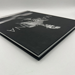 Коллекционная редкая книга Madonna: Nudes + by Martin H.M. Schreiber 2017 Букинистика варинант исполнения - 4 | Loft Concept в Ростове-на-Дону