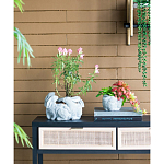 Кашпо A collection of baby rabbits варинант исполнения - 5 | Loft Concept в Ростове-на-Дону