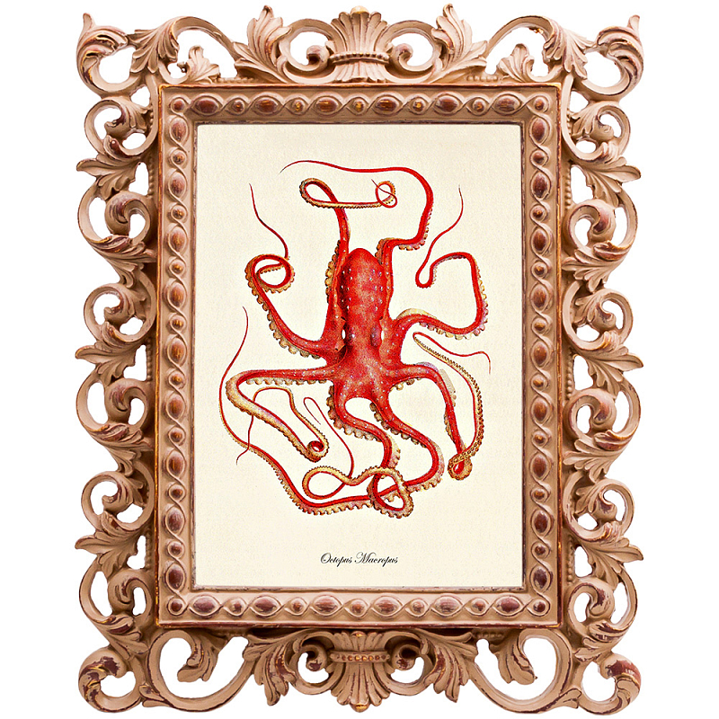  Red Squid Poster    -- | Loft Concept 