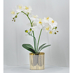 Декоративный искусственное растение Lush Orchid варинант исполнения - 2 | Loft Concept в Ростове-на-Дону