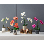 Декоративный искусственное растение Pink orchid варинант исполнения - 11 | Loft Concept в Ростове-на-Дону