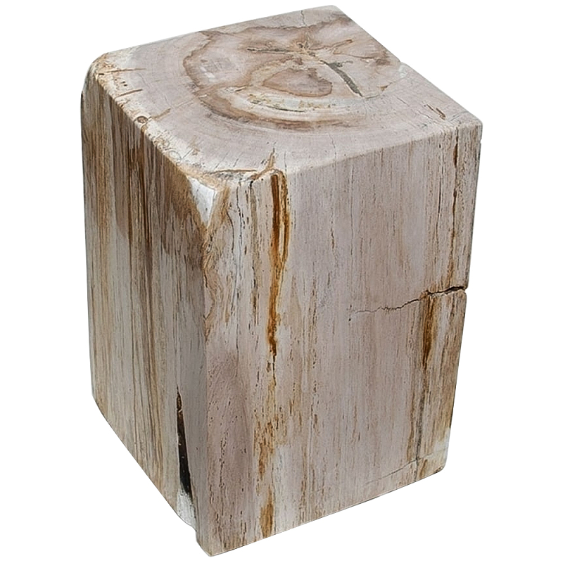     Petrified Wood Square   -- | Loft Concept 