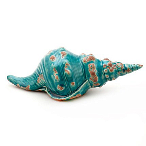 Ракушка Shell Turquoise #1