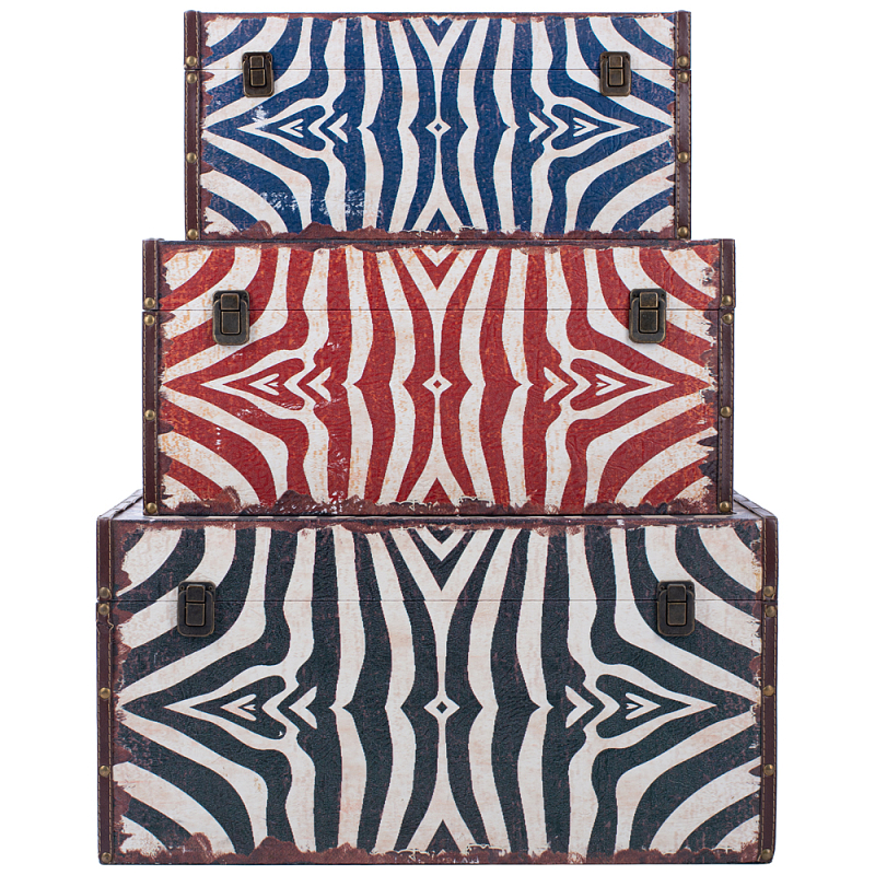   3-  Colored Zebra   -- | Loft Concept 