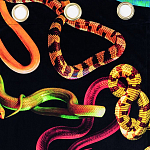 Штора Seletti Snakes Black варинант исполнения - 1 | Loft Concept в Ростове-на-Дону