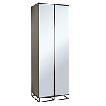 Двухдверный шкаф с зеркальными дверцами Strict Lines варинант исполнения - 1 | Loft Concept в Ростове-на-Дону