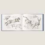 Лимитированная подарочная книга HERMES Fierce and Fragile book, English version варинант исполнения - 4 | Loft Concept в Ростове-на-Дону