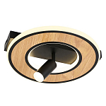 Потолочный светильник круглый GAVIN WOOD варинант исполнения - 1 | Loft Concept в Ростове-на-Дону