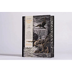 Книга Fantastic Gustave Dore варинант исполнения - 3 | Loft Concept в Ростове-на-Дону