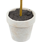 Декоративный искусственное растение Boxwood One варинант исполнения - 3 | Loft Concept в Ростове-на-Дону