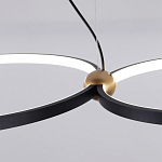 Люстра подвесная светодиодная черный металл Ring Horizontal варинант исполнения - 11 | Loft Concept в Ростове-на-Дону