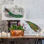 Постер на холсте с изображением павлина на ветке Majestic Peacock on a Tree Poster варинант исполнения - 3 | Loft Concept в Ростове-на-Дону