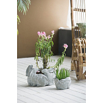 Кашпо A collection of baby rabbits варинант исполнения - 4 | Loft Concept в Ростове-на-Дону