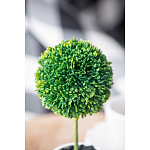 Декоративный искусственное растение Boxwood One варинант исполнения - 8 | Loft Concept в Ростове-на-Дону