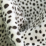 Мебельная ткань Искусственный мех  белый леопард 90 см T5-3 варинант исполнения - 1 | Loft Concept в Ростове-на-Дону