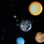 Блюдо Seletti Sun варинант исполнения - 6 | Loft Concept в Ростове-на-Дону