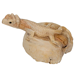 Статуэтка из дерева ящерица Animals of the World варинант исполнения - 2 | Loft Concept в Ростове-на-Дону