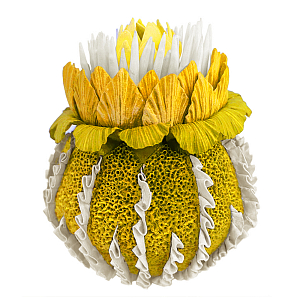 Желтый Экзотический фрукт Yellow Pandora Exotic Fruit  44