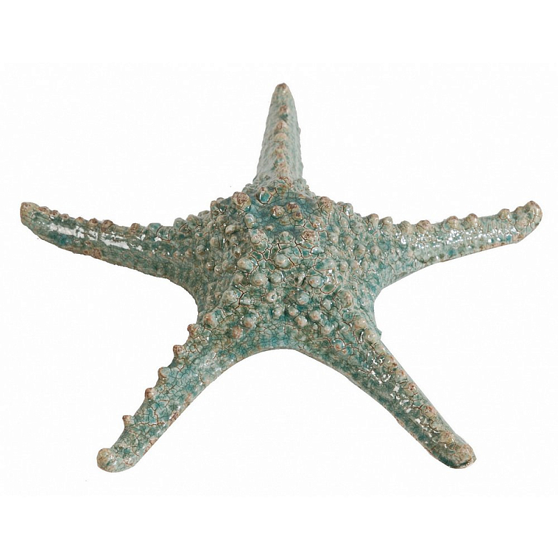  Starfish ̆   -- | Loft Concept 